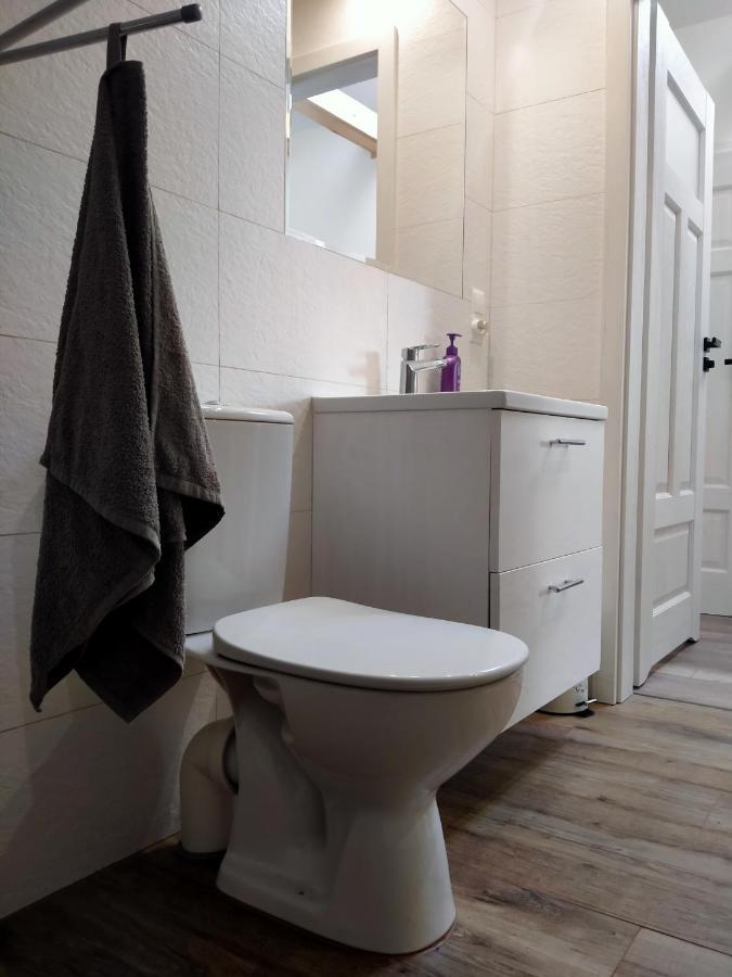 Nadbuzanska Przygoda Apartment Janow Podlaski